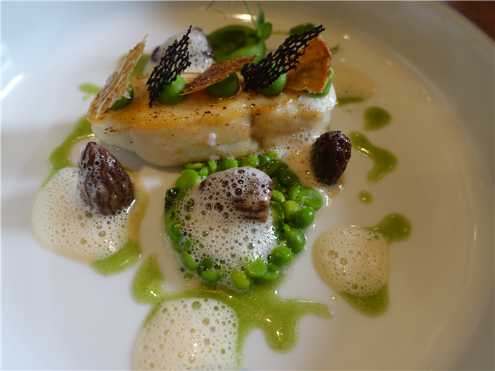 turbot and morels